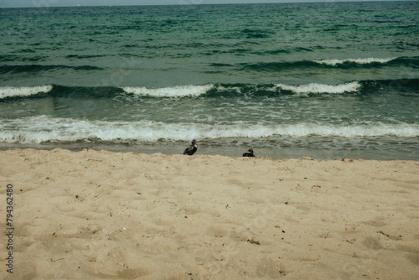 Fototapeta Markgrafenheide Strand an der Ostsee