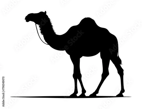 Fototapeta camel silhouette illustration. simple vector isolated on white background. decorative design for banner, poster, social media, sticker. generative ai