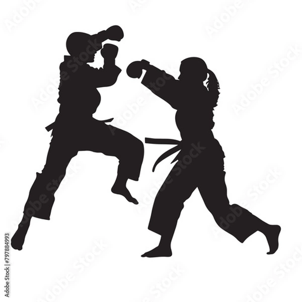 Fototapeta Vector silhouette of martial arts sports people fighting. Flat cutout icon