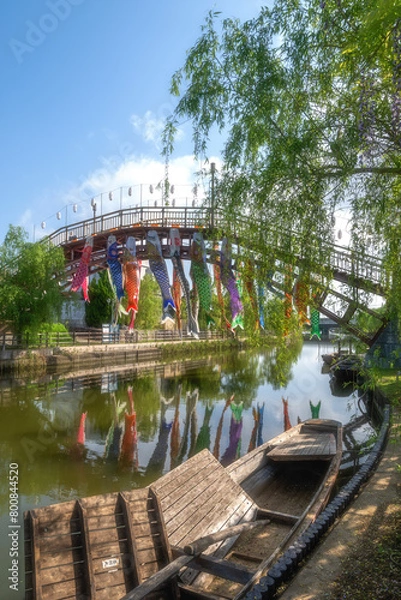 Fototapeta 茨城県潮来市　潮来あやめ園の藤棚
