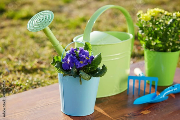 Fototapeta Gardening tools and flowers