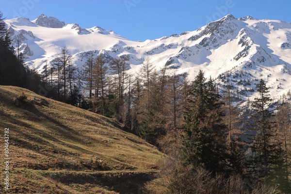 Fototapeta Frühling in den Alpen; Passhöhe am Col de la Forclaz mit Aiguille de Tour (3540), Mont-Blanc-Massiv