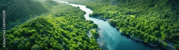 Fototapeta Lush green forest landscape with winding river