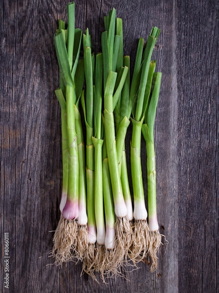 Fototapeta rustic leek