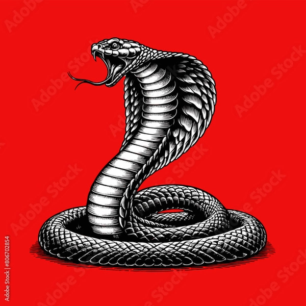 Fototapeta King cobra vector engraving on red BG