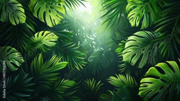 Fototapeta illustration of tropical palm leaves on a dark background