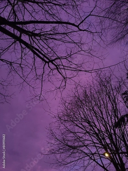 Fototapeta Ciel violet