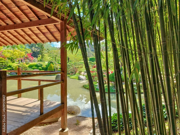 Fototapeta Beautiful view of the porch of the wooden pavilion of the Japanese garden in Toulouse next to the pond and a small bamboo fores on a beautiful morning