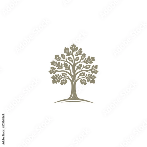 Fototapeta Oak tree logo, oak tree silhouette

