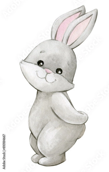 Fototapeta Bunny, standing, paws hidden behind his back. Watercolor clipart, cute, forest animal, on an isolated background.