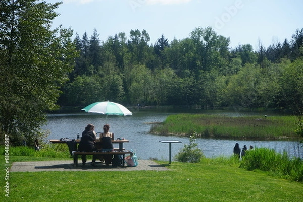 Fototapeta lake in the park