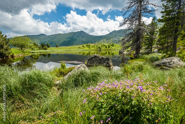 Fototapeta Mountain landscape,Austria.