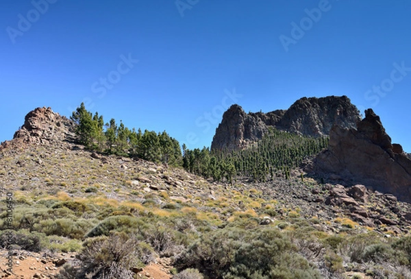 Fototapeta paysage de montagne