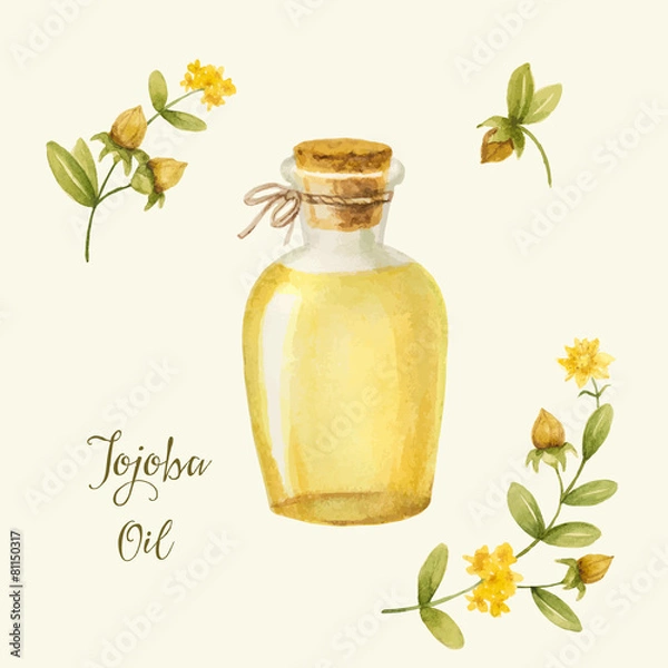 Fototapeta Jojoba