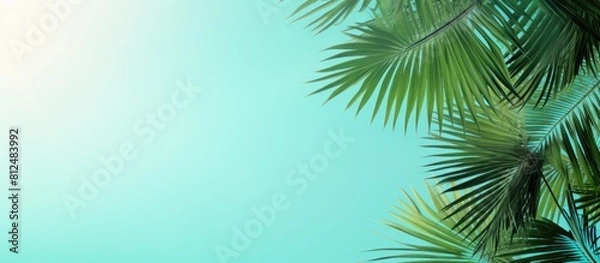 Fototapeta A trendy green and turquoise holiday background featuring palm leaves and branches with a textured copy space image against a mint colored sky evoking the summer and travel concept