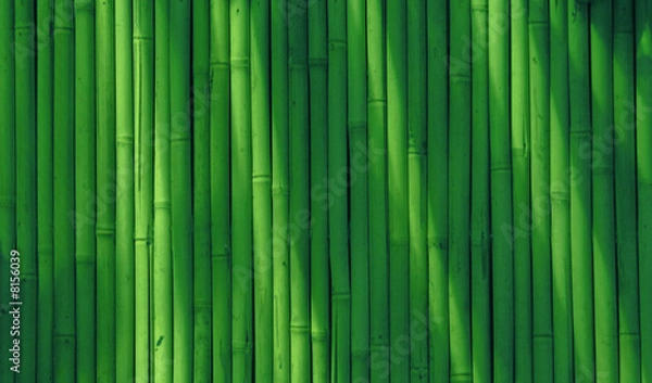 Fototapeta Abstract bamboo background