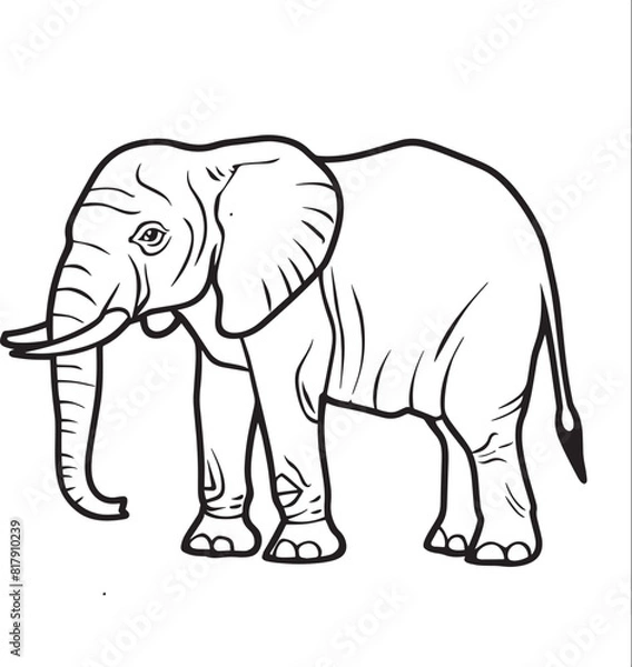 Fototapeta elephant cartoon coloring page