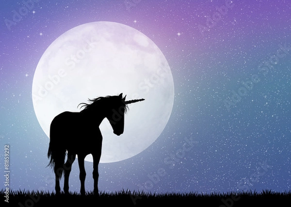 Fototapeta unicorn in the moonlight