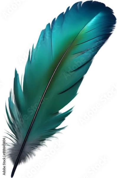 Fototapeta Close-up of green-blue feathers inspired by the Resplendent Quetzal bird.