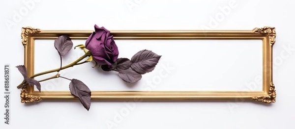 Fototapeta A dried purple rose is displayed in a golden frame against a clean white background allowing for copy space in the image