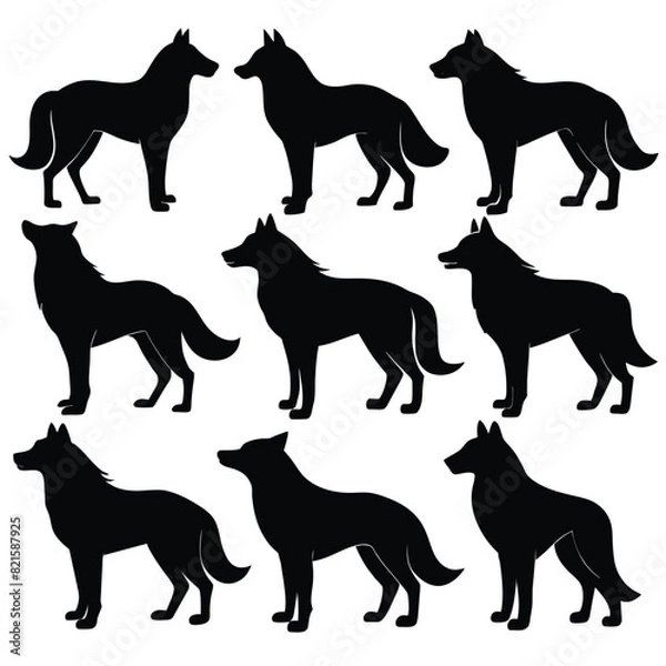 Fototapeta Set of Arctic Wolf black Silhouette Vector on a white background