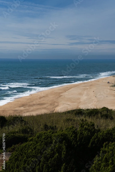 Fototapeta View from the hill to the sandy beach 'Praia da Nazaré' , Praia do Norte beach and Nazare town, Portugal