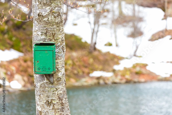 Fototapeta the old green mailbox