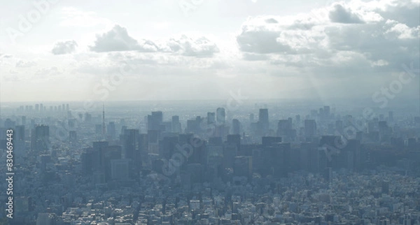 Fototapeta 東京の街並みと東京タワー、東京の町並みとビジネス街、東京の町並みの上空撮影