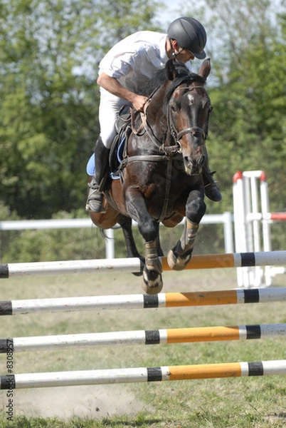 Fototapeta Springreiten