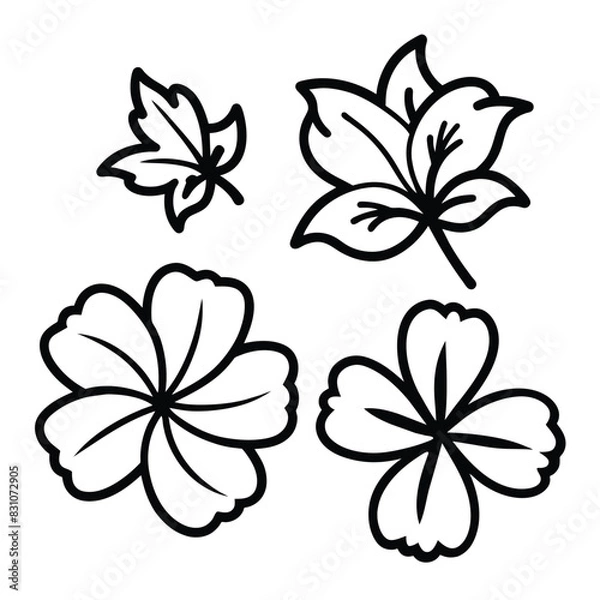 Fototapeta Set of Hibiscus Flower outline icon black vector on white background