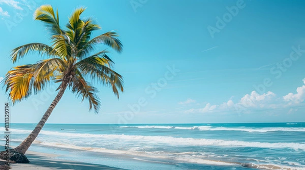 Obraz A palm tree on a beach with great copy space, Summer theme.