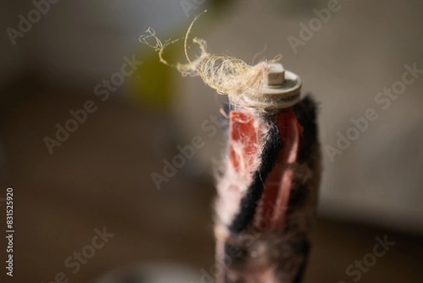 Fototapeta Removing pet fur from a brush and placing it in a bowl as part of grooming routine