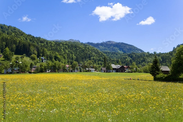 Fototapeta ザルツカンマーグート地方の田園風景