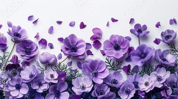 Fototapeta   A white wall with an array of purple flowers adorning both sides