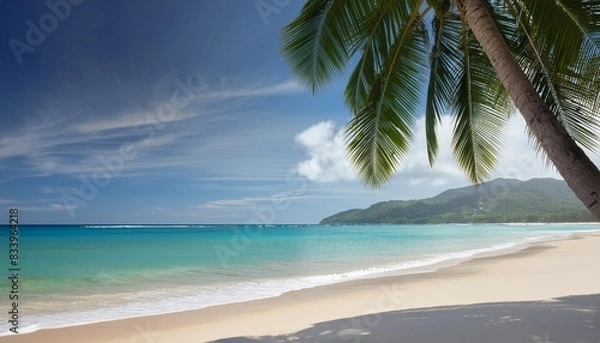 Fototapeta tropical beach with cocnut palm tree