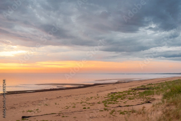 Fototapeta Empty sandy beach of Baltic sea covered with fog after rain during the sunset at summer