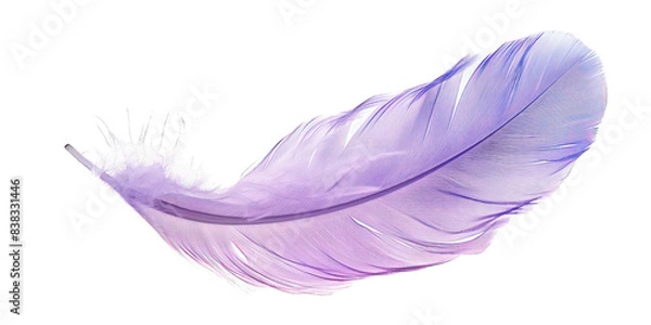 Fototapeta PNG Purple feather white background lightweight