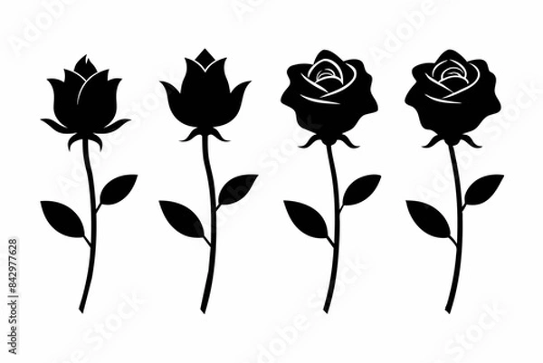 Fototapeta many roses silhouette vector illustration