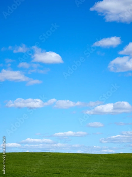 Fototapeta Horizon. Green field, blue sky and white clouds.