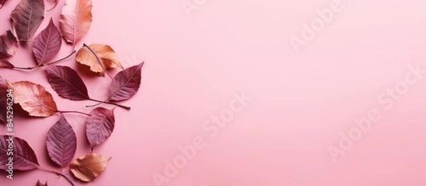 Fototapeta Top view composition of dried leaves on a pink background evoking an autumnal theme The image showcases the concept of autumn with a flat lay arrangement and ample copy space