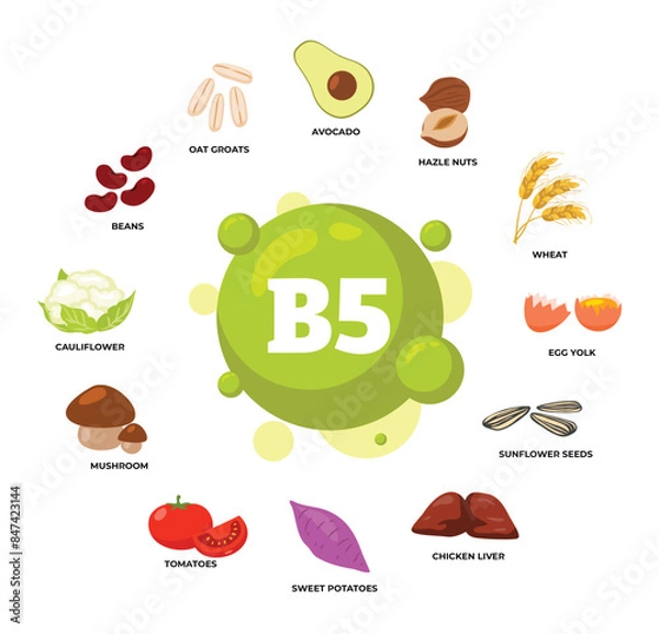 Fototapeta Set of vitamin B5 source dietetic organic nutrition products, Organic nutrition, food containing avocado, huzelnut, wheat, egg yolk, sunflower seeds, potato, tomato, mushroom, cauliflower, beans,oat.