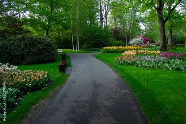 Fototapeta Garden stone path in a botanical garden