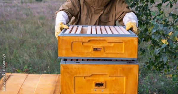 Fototapeta A beekeeper, a woman in a protective suit against bee stings, holds a frame with honey from a bee hive in her hands. Beekeeping, care of the hive