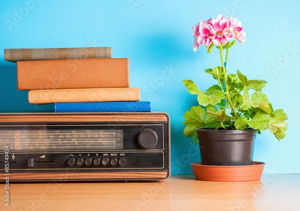 Fototapeta Old radio with flower and books, vintage still life