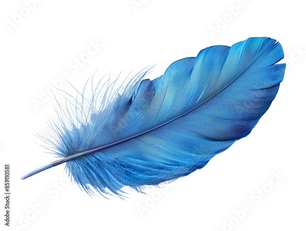 Fototapeta Vibrant Blue Feather Against White Background
