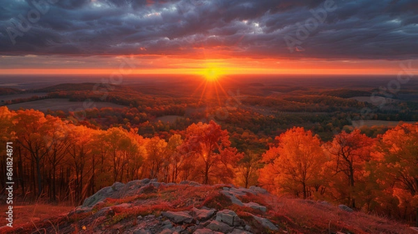 Fototapeta Autumn forest landscape, orange golden foliage, fall wallpaper