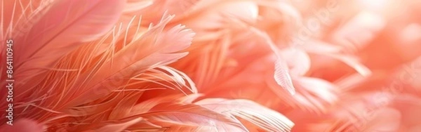 Fototapeta Peach Fuzz Feathers: Abstract Texture Background for Banners, Wallpaper, and More