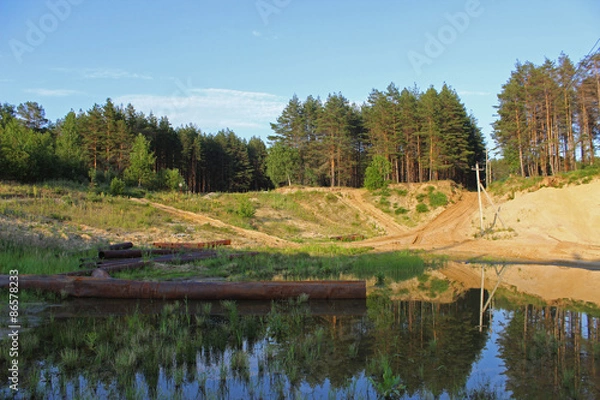 Fototapeta landscape with pine forest