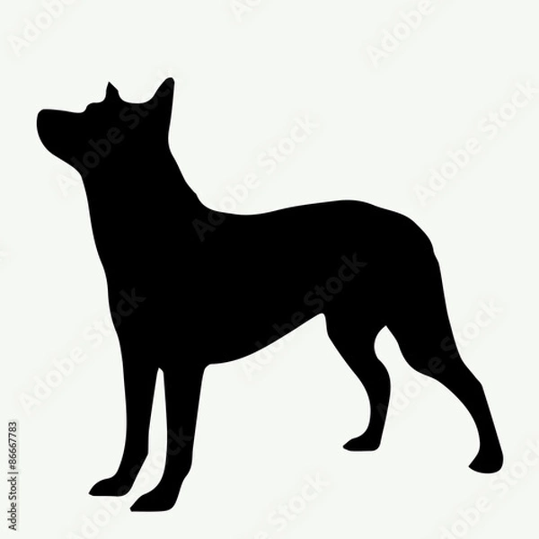 Fototapeta  Dog silhouette on white background