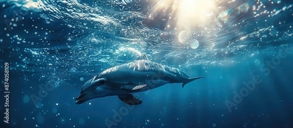 Fototapeta A dolphin gracefully swimming underwater in a sunlit ocean, surrounded by bubbles and sparkling water.